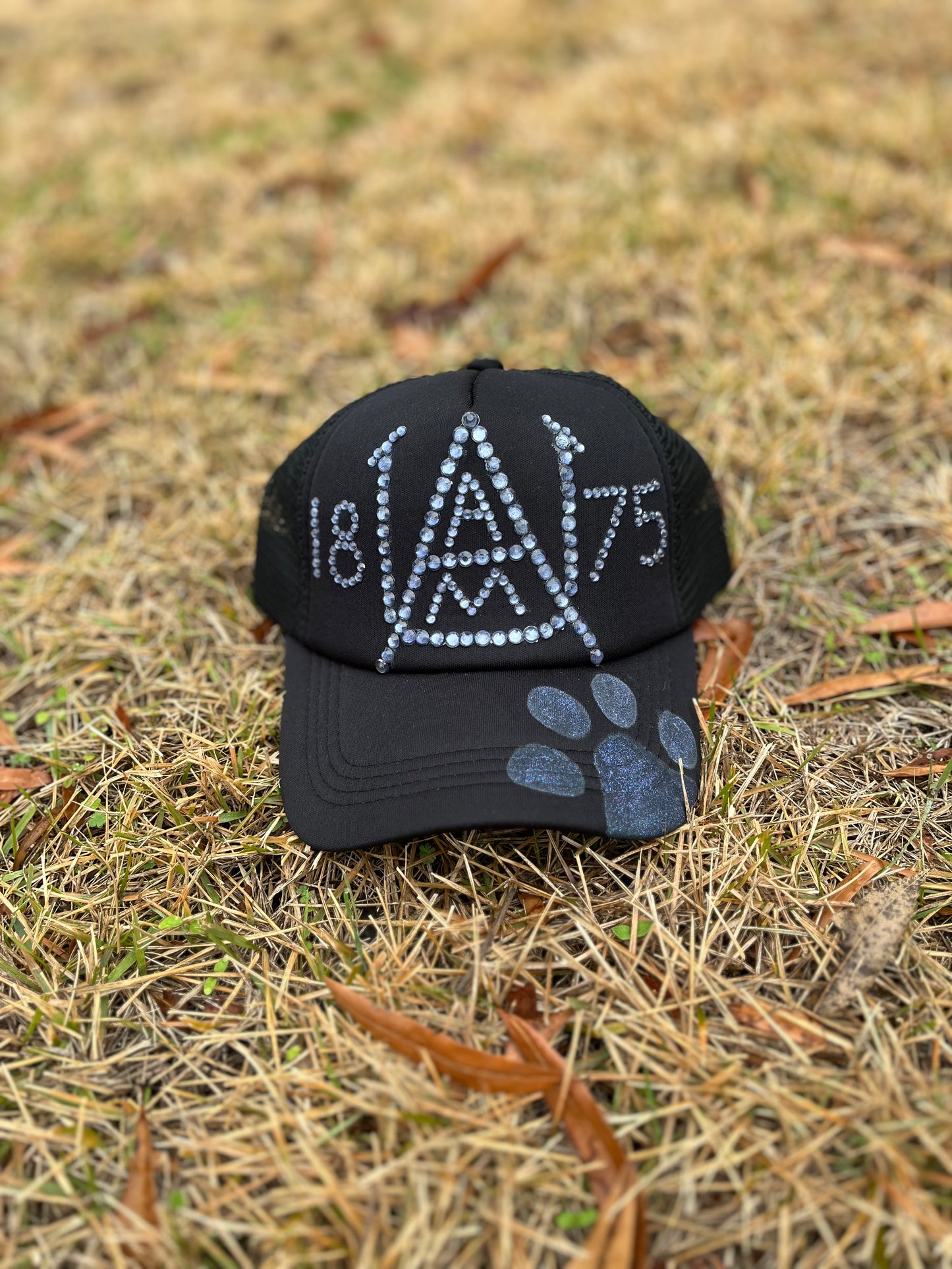 Mesh Trucker Hat